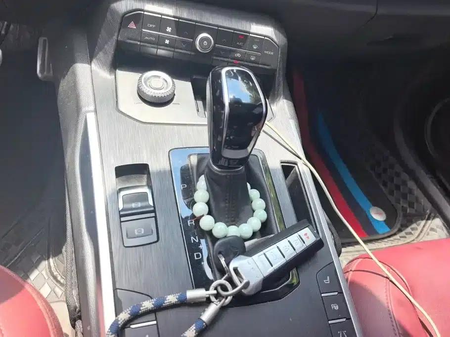 Wey P8 2018 2.0T Flagship Edition — миниатюра 16