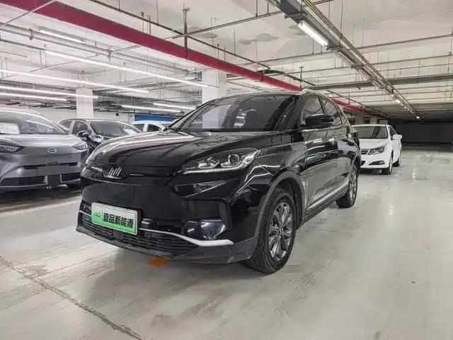 Weltmeister EX5 2019 EX5 Mate Weltmeister Edition 400