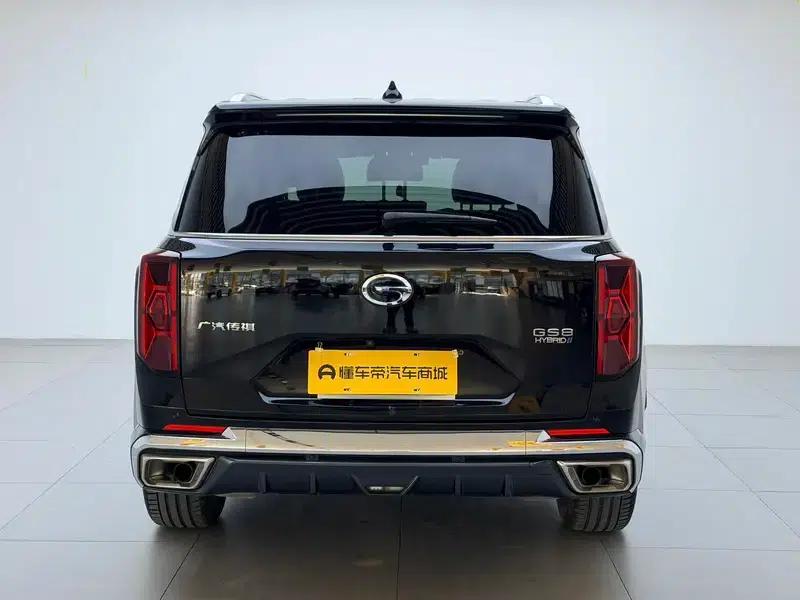 Trumpchi GS8 2024 Dual Engine Series 2.0TM Hybrid Two-Wheel Drive Premium Edition — миниатюра 6