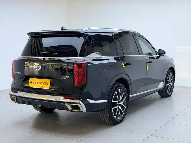 Trumpchi GS8 2024 Dual Engine Series 2.0TM Hybrid Two-Wheel Drive Premium Edition — миниатюра 7