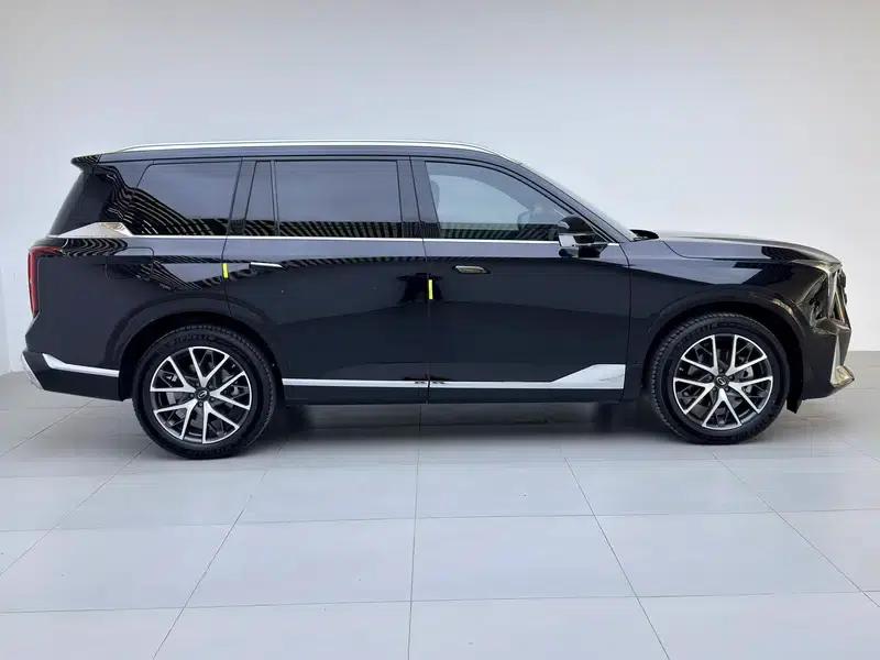Trumpchi GS8 2024 Dual Engine Series 2.0TM Hybrid Two-Wheel Drive Premium Edition — миниатюра 8