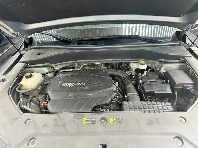 Trumpchi GS8 2022 Navigator Series 2.0TGDI 2WD Luxury Intelligent Connected 7-Seater — миниатюра 7