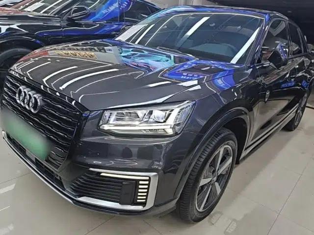 Audi Q2L e-tron 2019 Q2L e-tron Pure Electric Smart Enjoyment Model