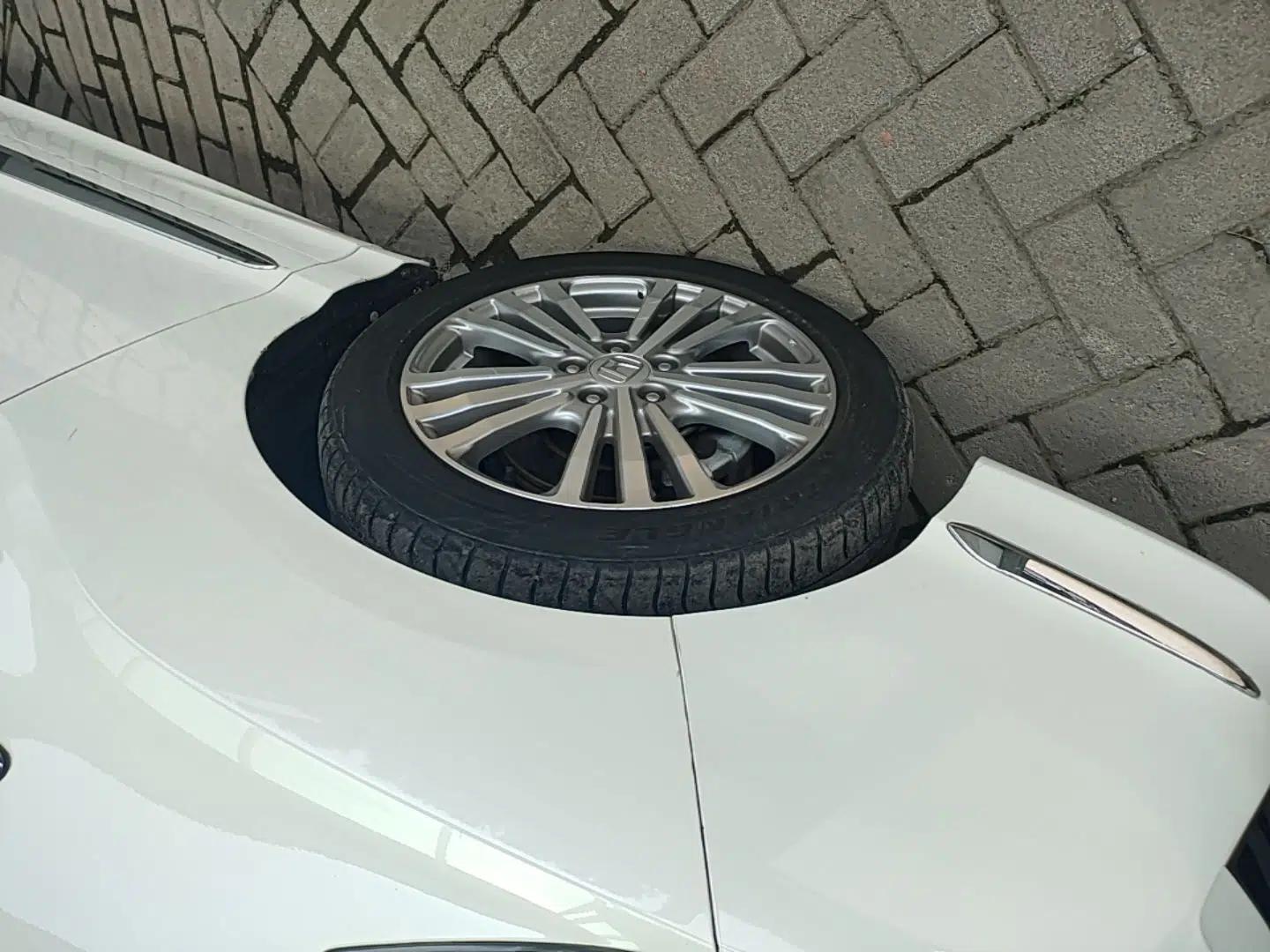 Honda Elysion 2016 2.4L Supreme Edition — миниатюра 10