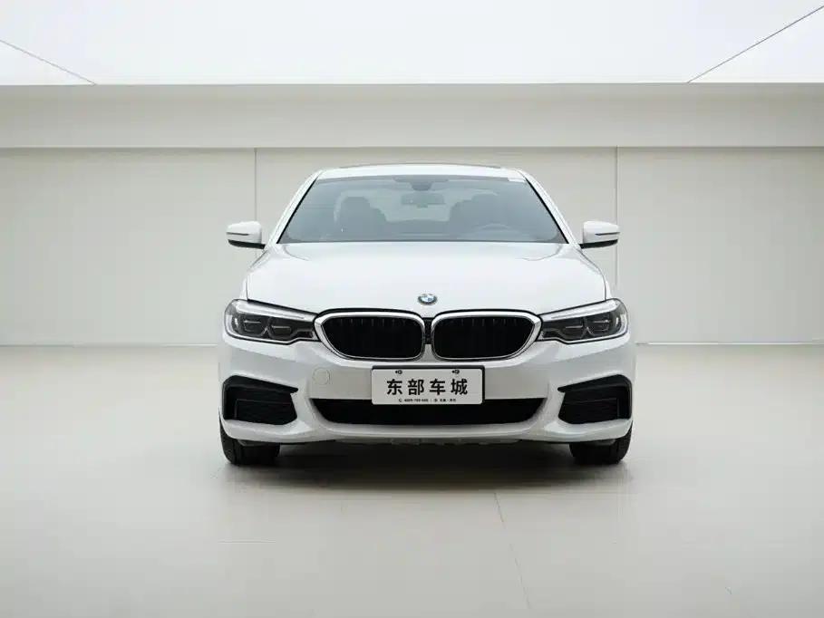 2020 BMW 5 Series 530Li xDrive M Sport Package — миниатюра 2