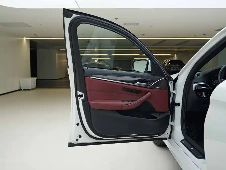 2020 BMW 5 Series 530Li xDrive M Sport Package — миниатюра 17