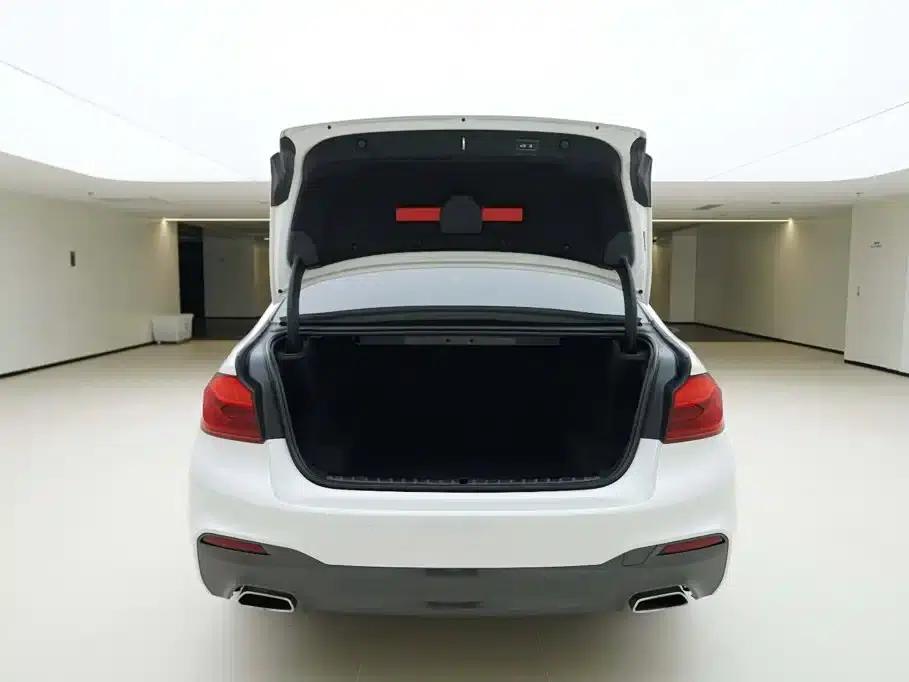 2020 BMW 5 Series 530Li xDrive M Sport Package — миниатюра 6