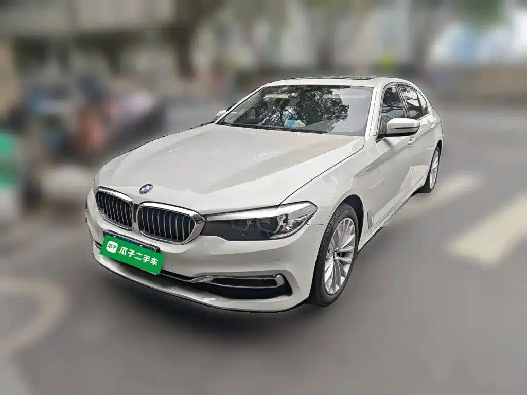 BMW 5 Series 2019 530Li Leading Luxury Package — миниатюра 1
