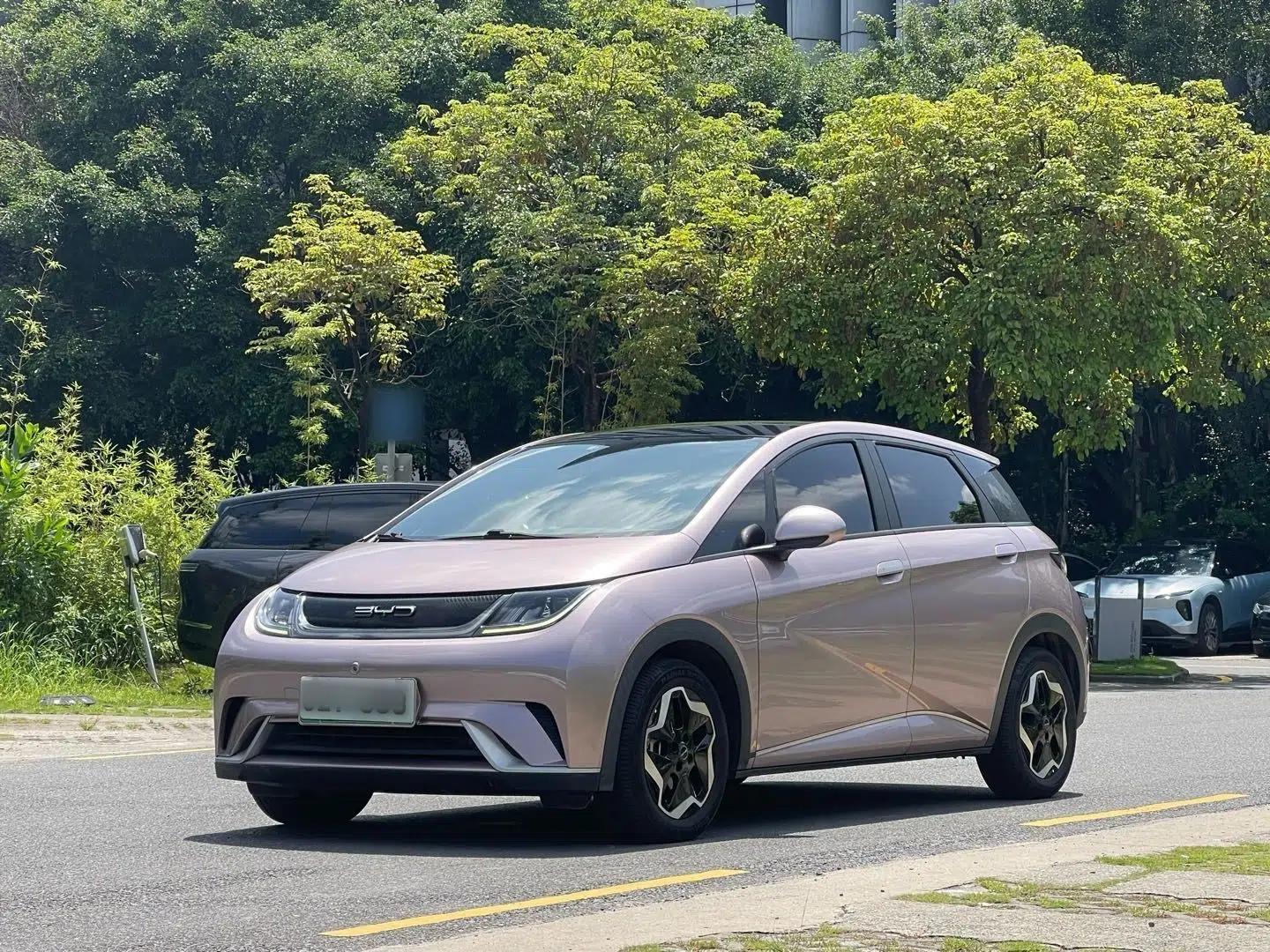 BYD Dolphin 2021 405 km Fashion Edition — миниатюра 1