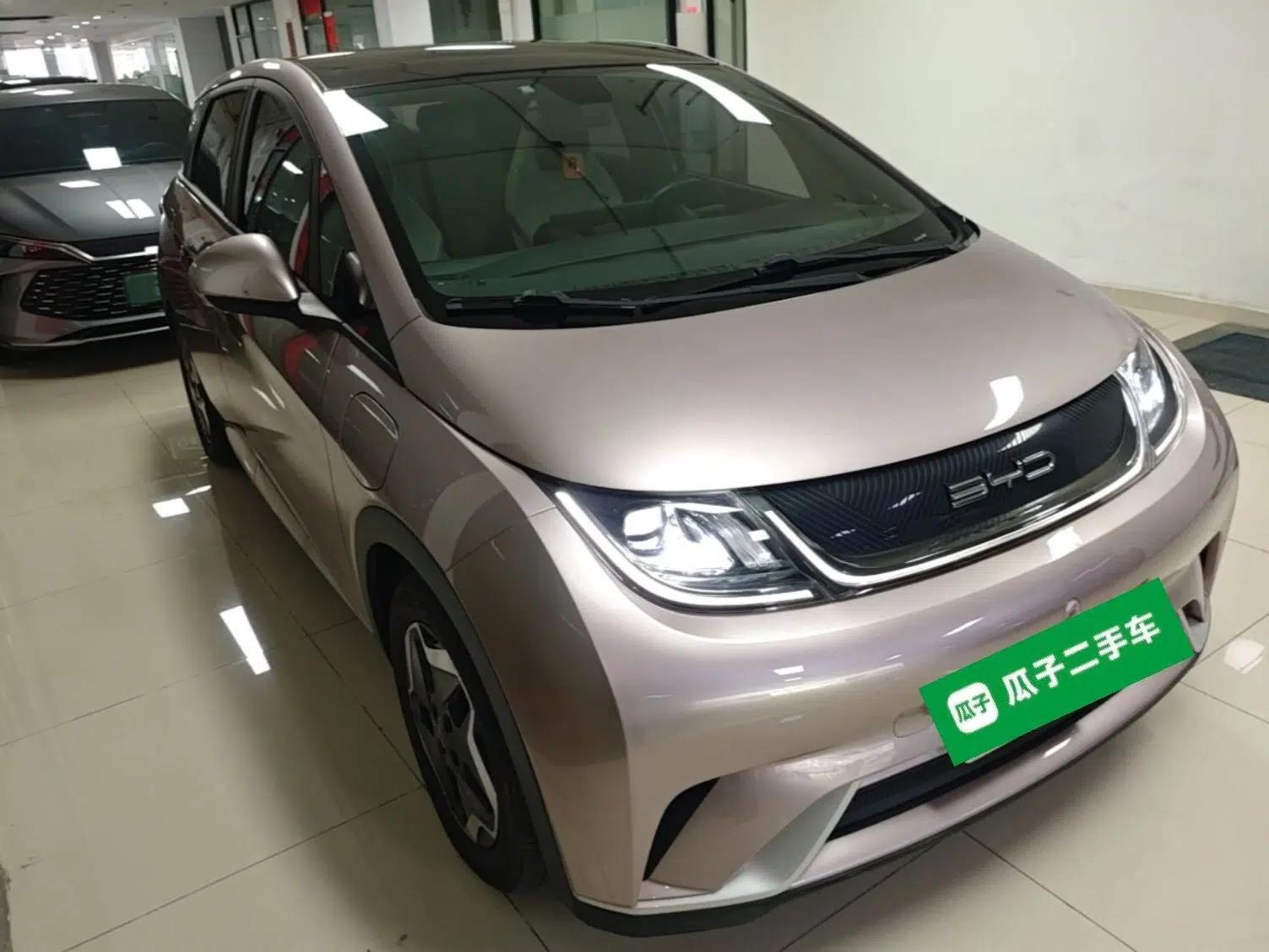 BYD Dolphin 2021 405 km Fashion Edition — миниатюра 3