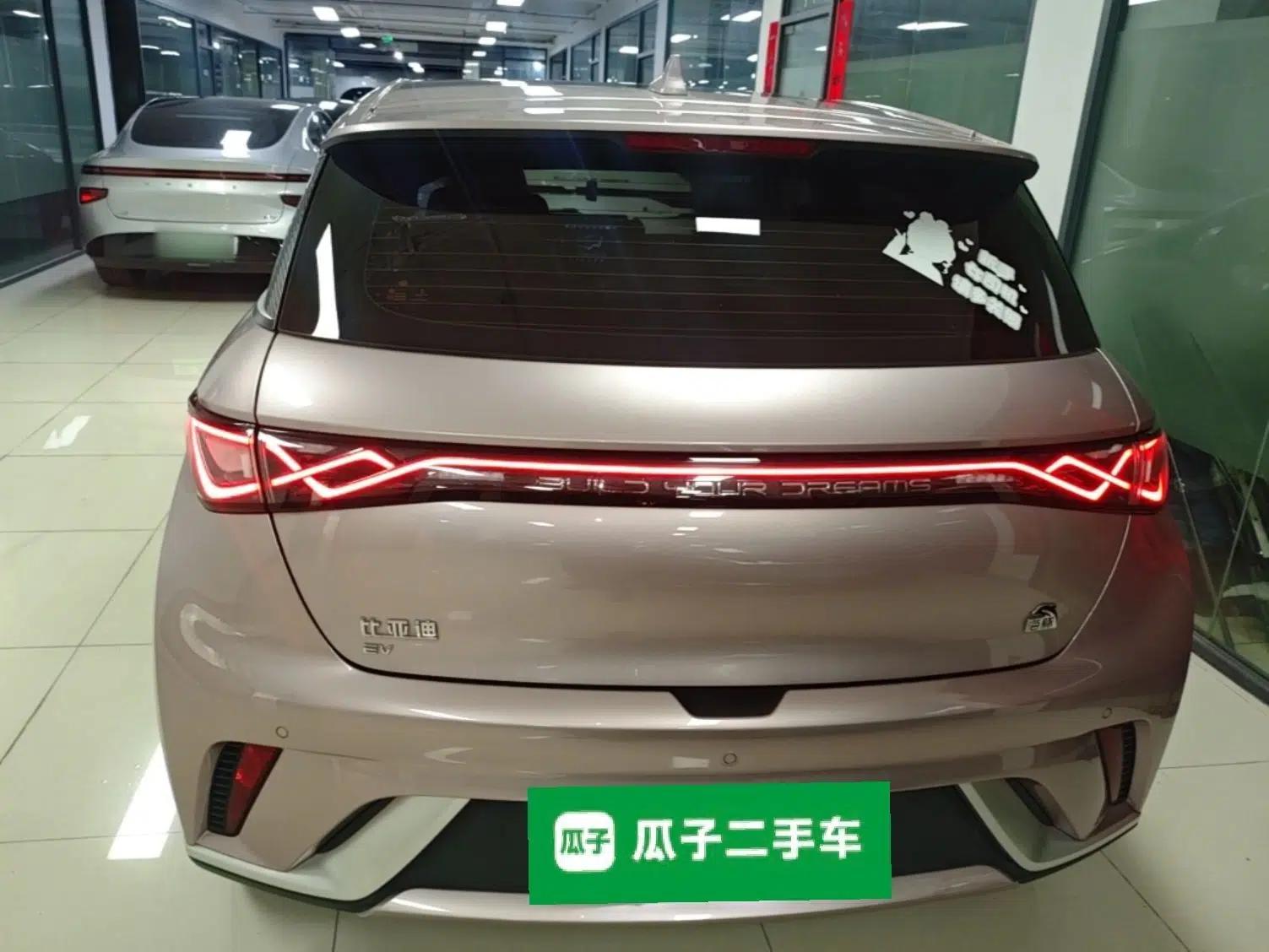 BYD Dolphin 2021 405 km Fashion Edition — миниатюра 5