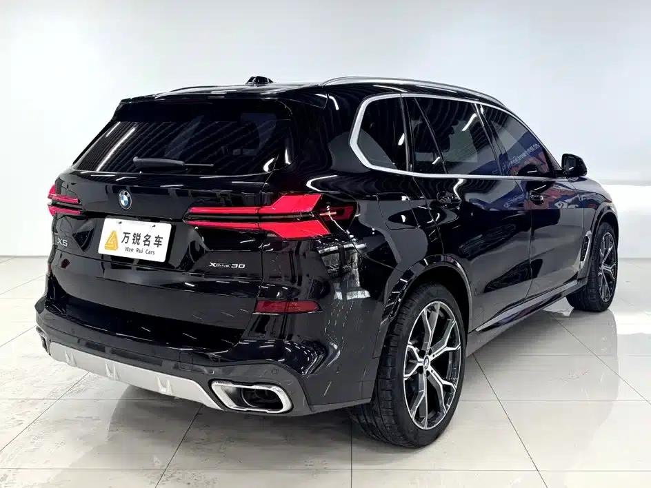 BMW X5 2023 xDrive 30Li Luxury M Sport Package — миниатюра 3
