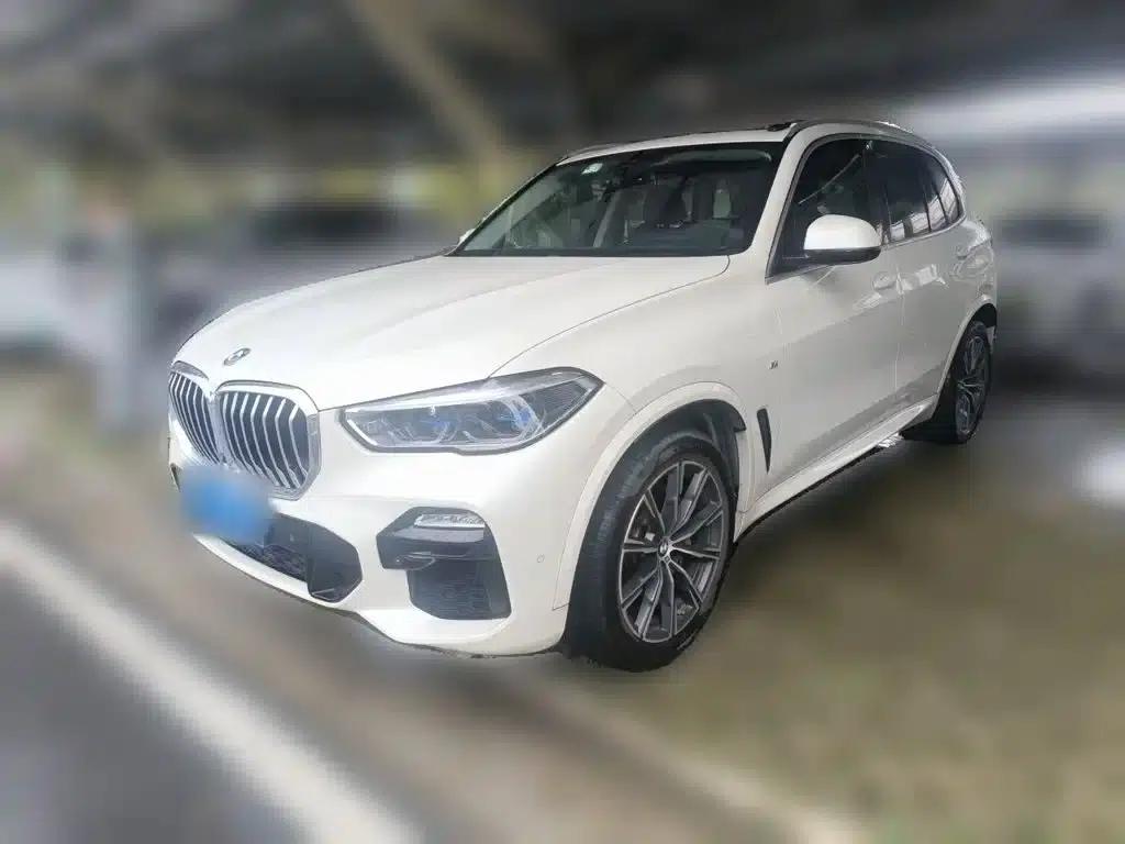 2019 BMW X5 xDrive40i M Sport Package (Imported) — миниатюра 1