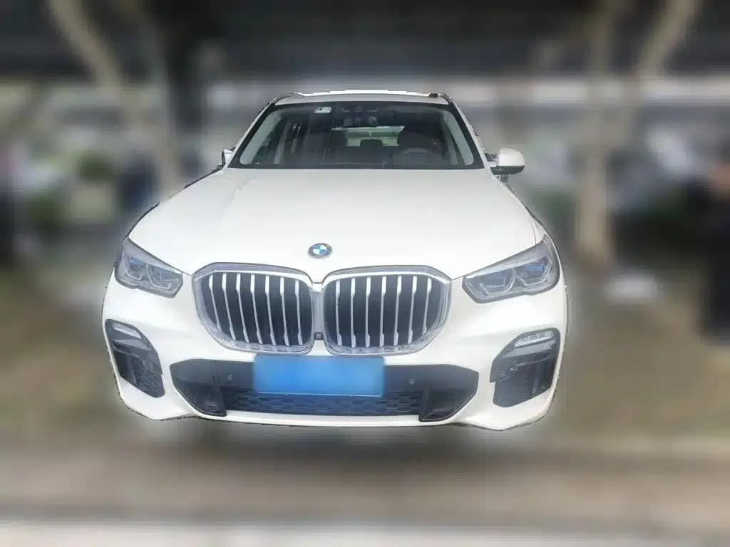 2019 BMW X5 xDrive40i M Sport Package (Imported) — миниатюра 24