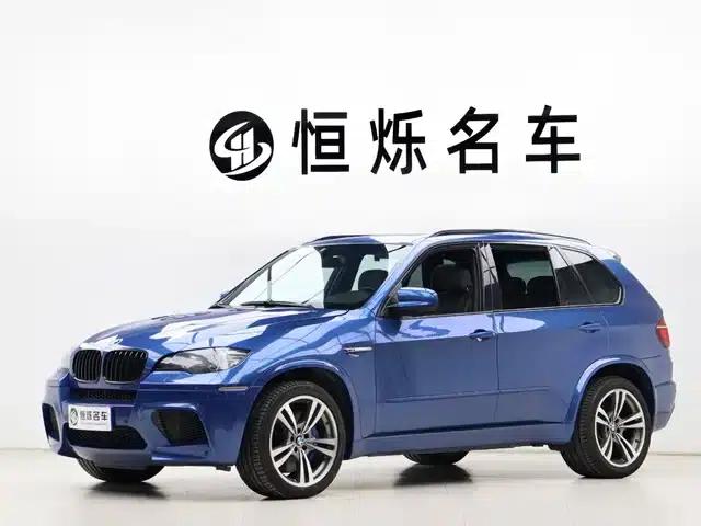 2010 BMW X5 M
