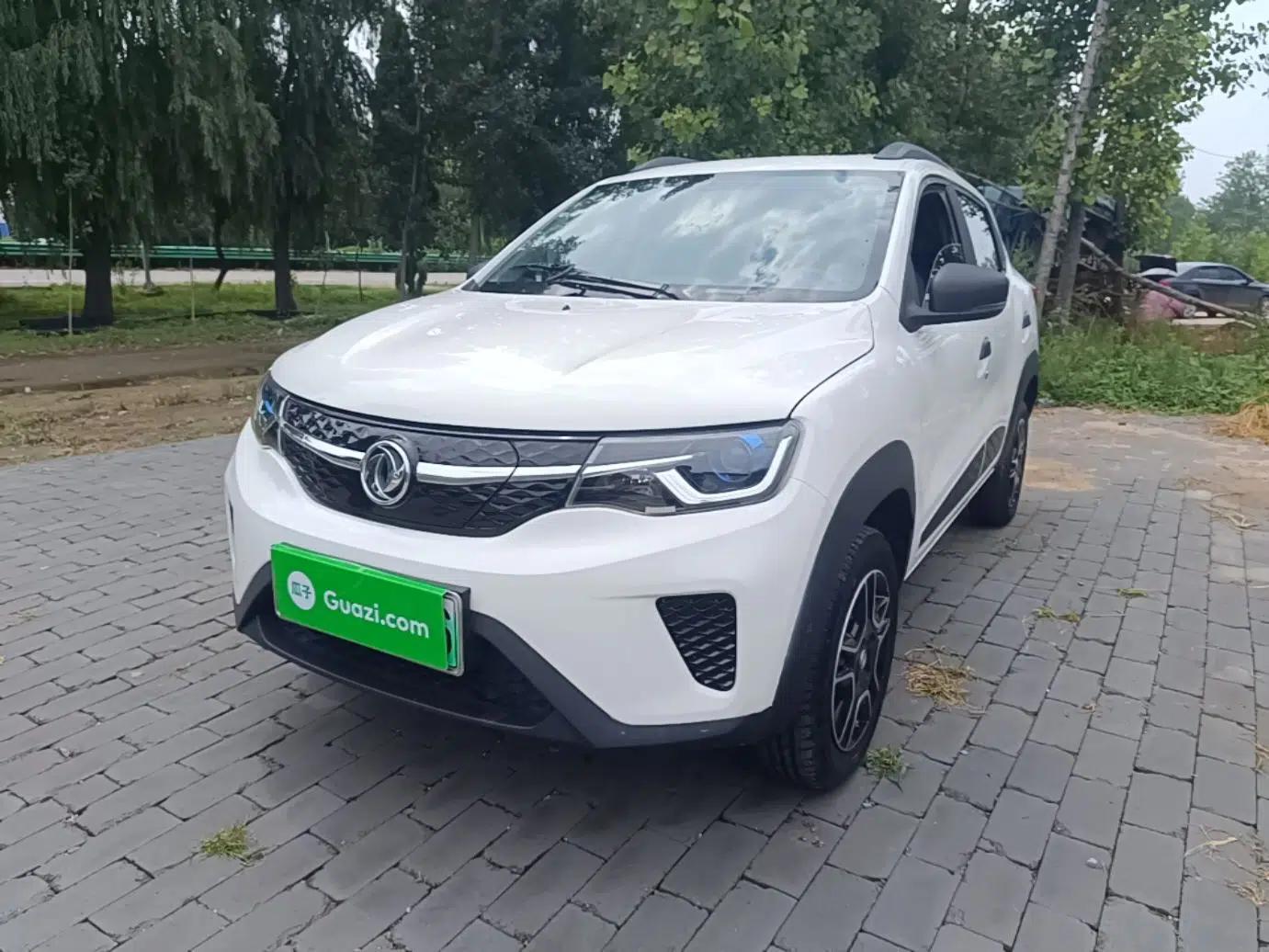 Dongfeng NAMMI EX1 2023 PRO Light Wind Edition Lightning Model — миниатюра 1
