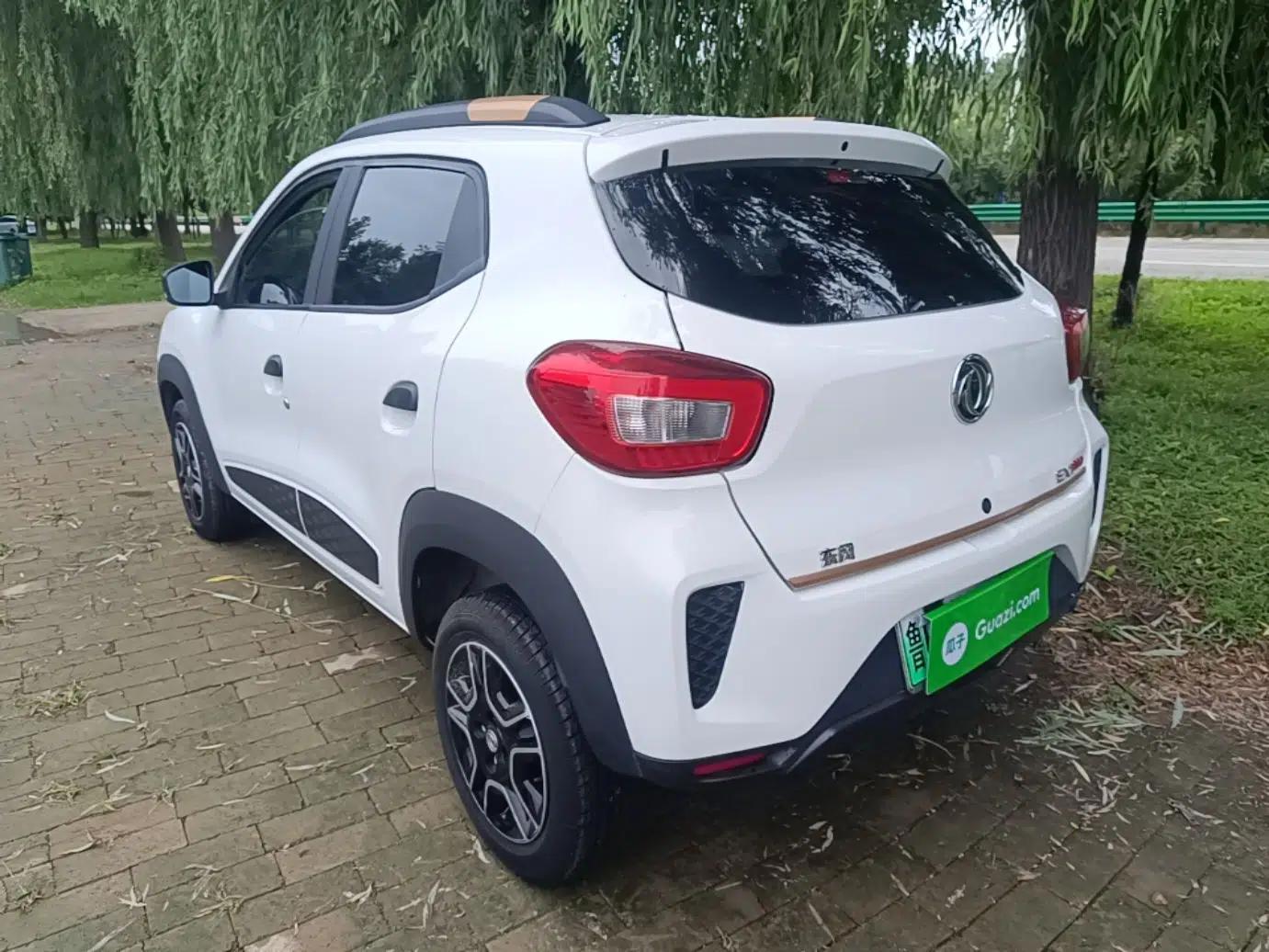 Dongfeng NAMMI EX1 2023 PRO Light Wind Edition Lightning Model — миниатюра 4