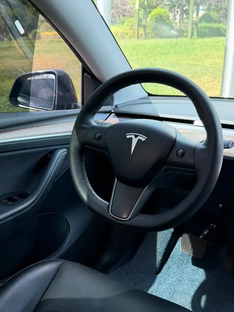 Model Y 2021 Long Range All-Wheel Drive 3D3/3D5 — миниатюра 14
