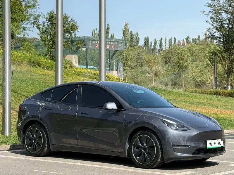 Model Y 2021 Long Range All-Wheel Drive 3D3/3D5 — миниатюра 3