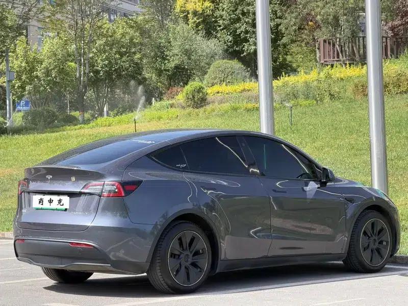 Model Y 2021 Long Range All-Wheel Drive 3D3/3D5 — миниатюра 7