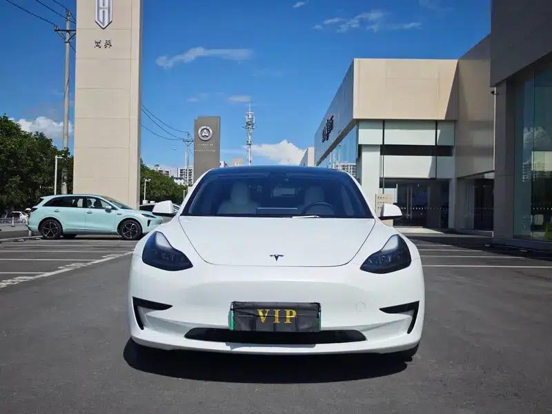 Model 3 2021 Standard Range Rear-Wheel Drive Upgrade 3D6 — миниатюра 2
