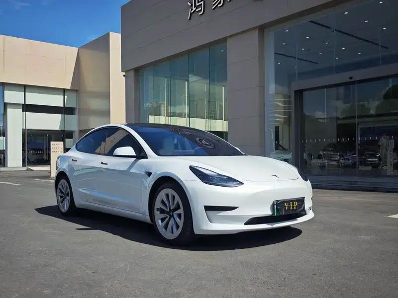 Model 3 2021 Standard Range Rear-Wheel Drive Upgrade 3D6 — миниатюра 3