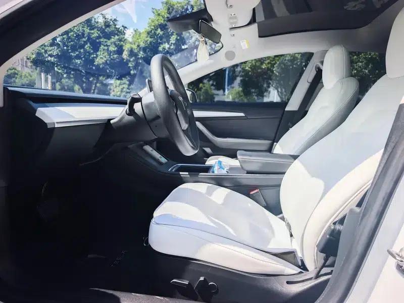 Model 3 2021 Standard Range Rear-Wheel Drive Upgrade 3D6 — миниатюра 8