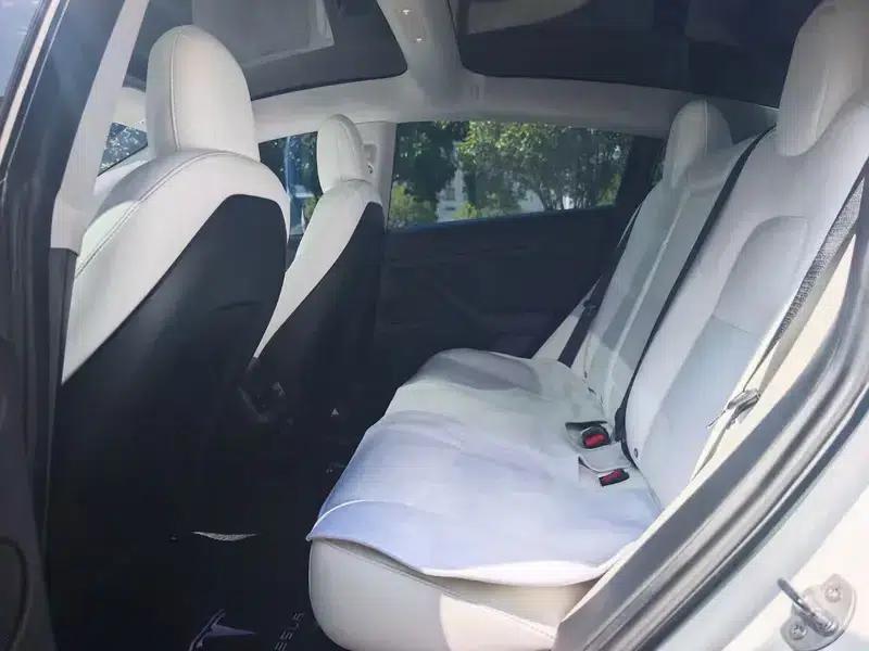 Model 3 2021 Standard Range Rear-Wheel Drive Upgrade 3D6 — миниатюра 9