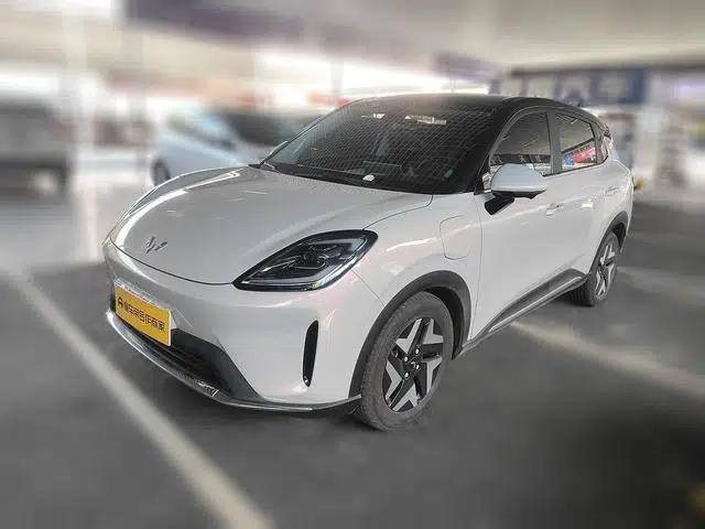 Bingo S 2025 Flagship Model 430km