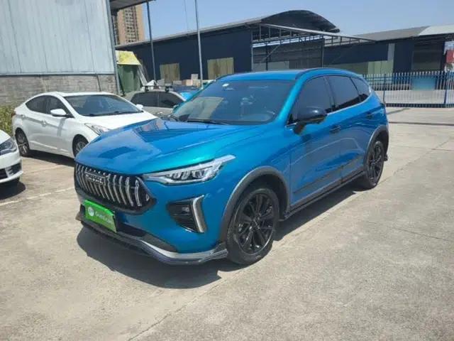 Haval LHERY 2021 High-Performance Version 1.5T Golden Rabbit