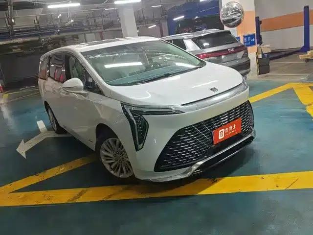 Century 2023 2.0T Six-Seat Luxury Edition