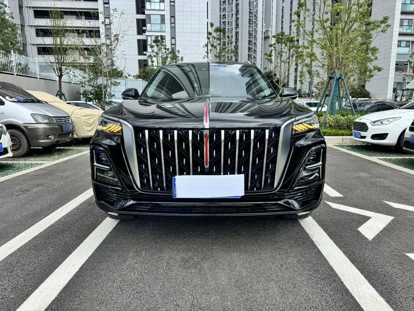 Hongqi HS5 2025 2.0T All-Wheel-Drive Flagship Pro Edition — миниатюра 2