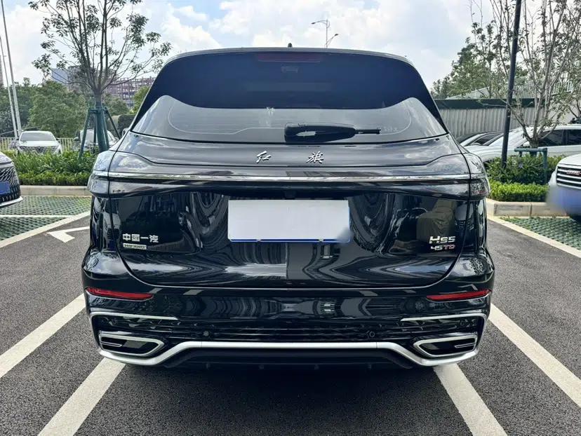 Hongqi HS5 2025 2.0T All-Wheel-Drive Flagship Pro Edition — миниатюра 8