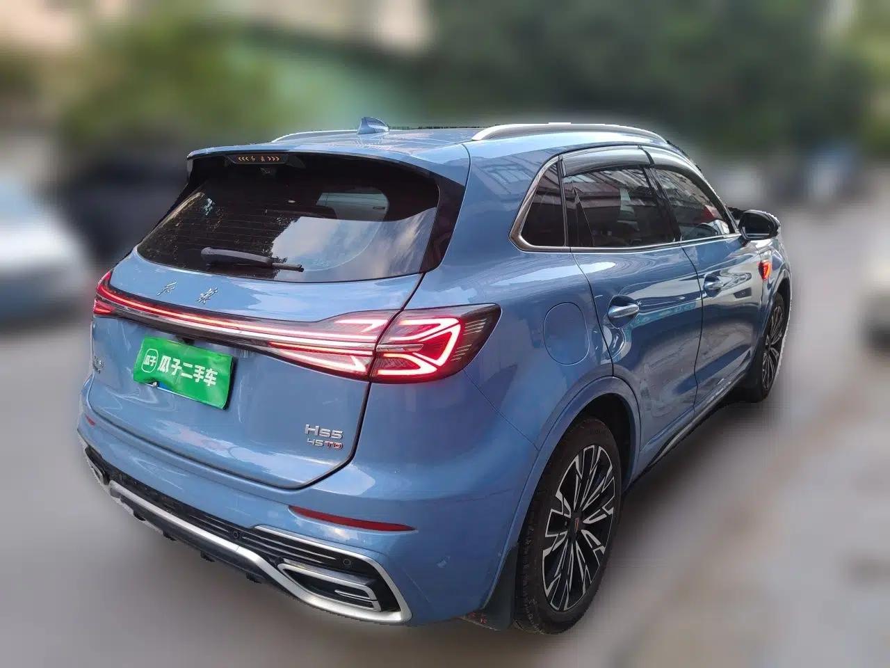 Hongqi HS5 2023 2.0T Four-Wheel Drive Flagship Pro Edition — миниатюра 6