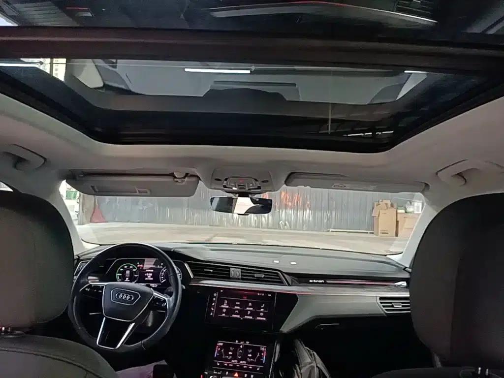 Audi e-tron (Imported) 2019 55 quattro Fashion Edition — миниатюра 18