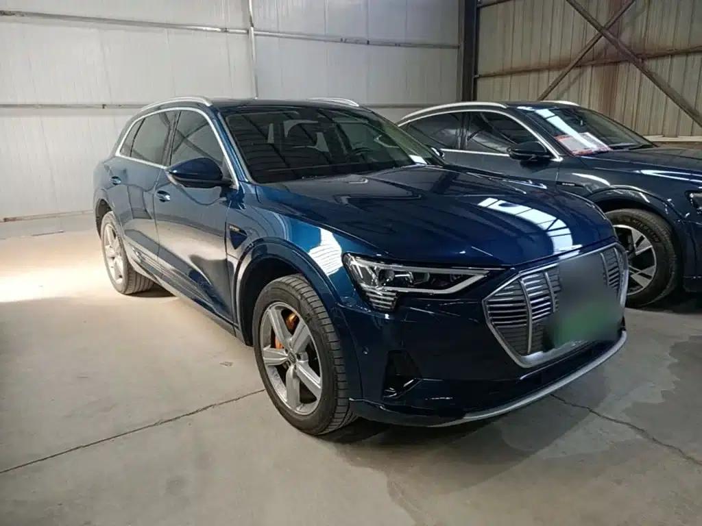 Audi e-tron (Imported) 2019 55 quattro Fashion Edition — миниатюра 4