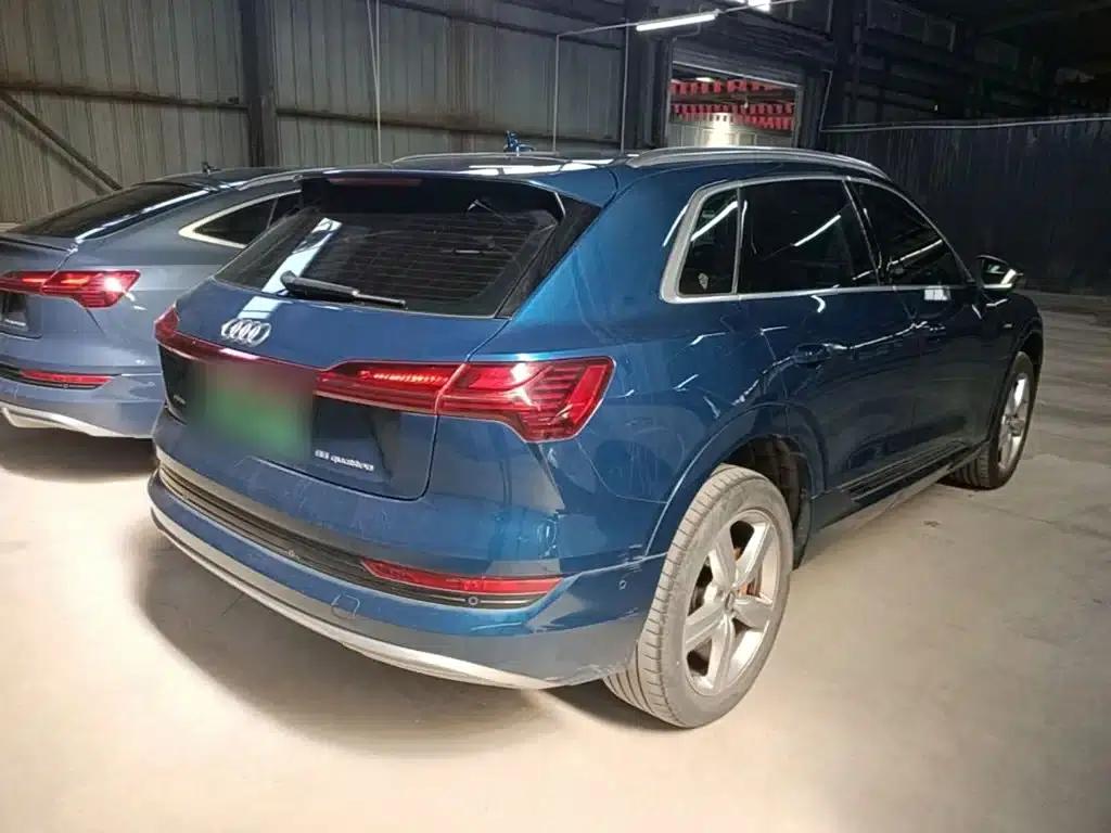 Audi e-tron (Imported) 2019 55 quattro Fashion Edition — миниатюра 7