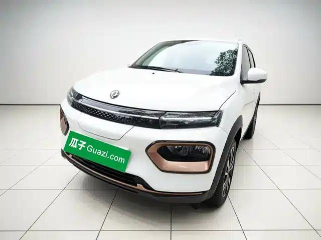Nano BOX 2022 Facelift Lightweight Edition 201km Standard Model
