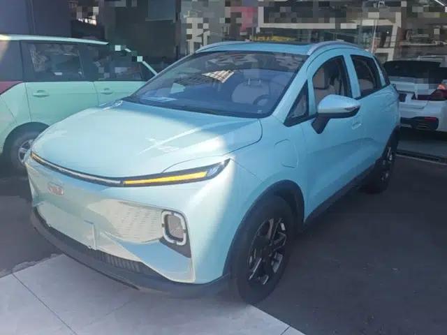 Geometry E Firefly 2023 401 km Super-Liked Special Edition 5 Seats