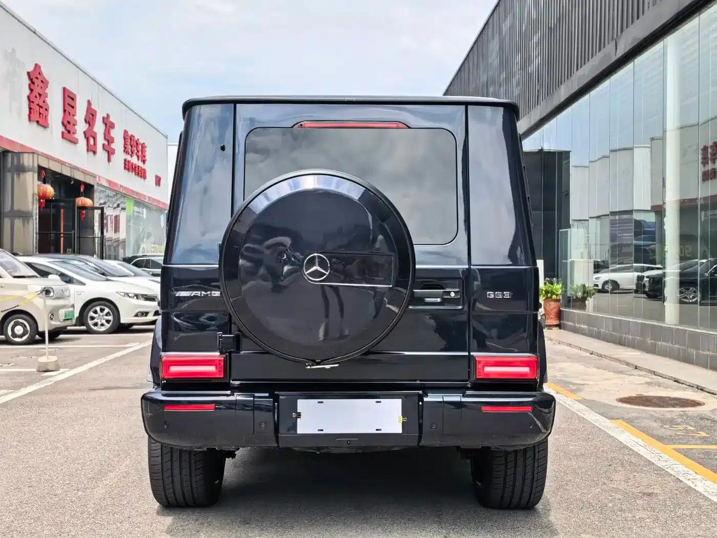 2009 Mercedes-Benz G-Class AMG 55 — миниатюра 11