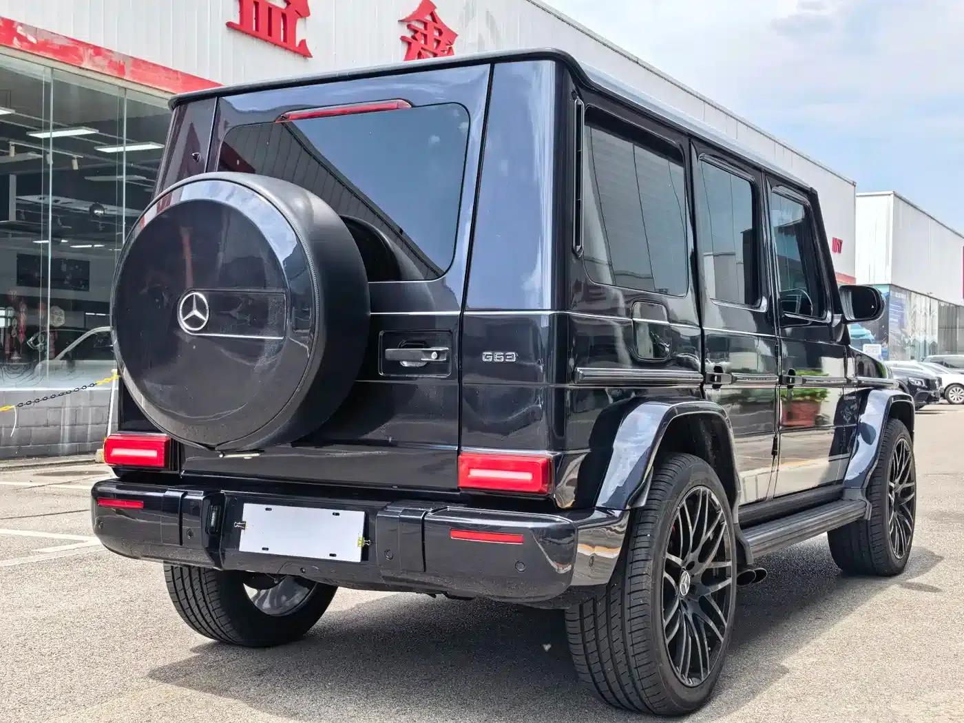 2009 Mercedes-Benz G-Class AMG 55 — миниатюра 10
