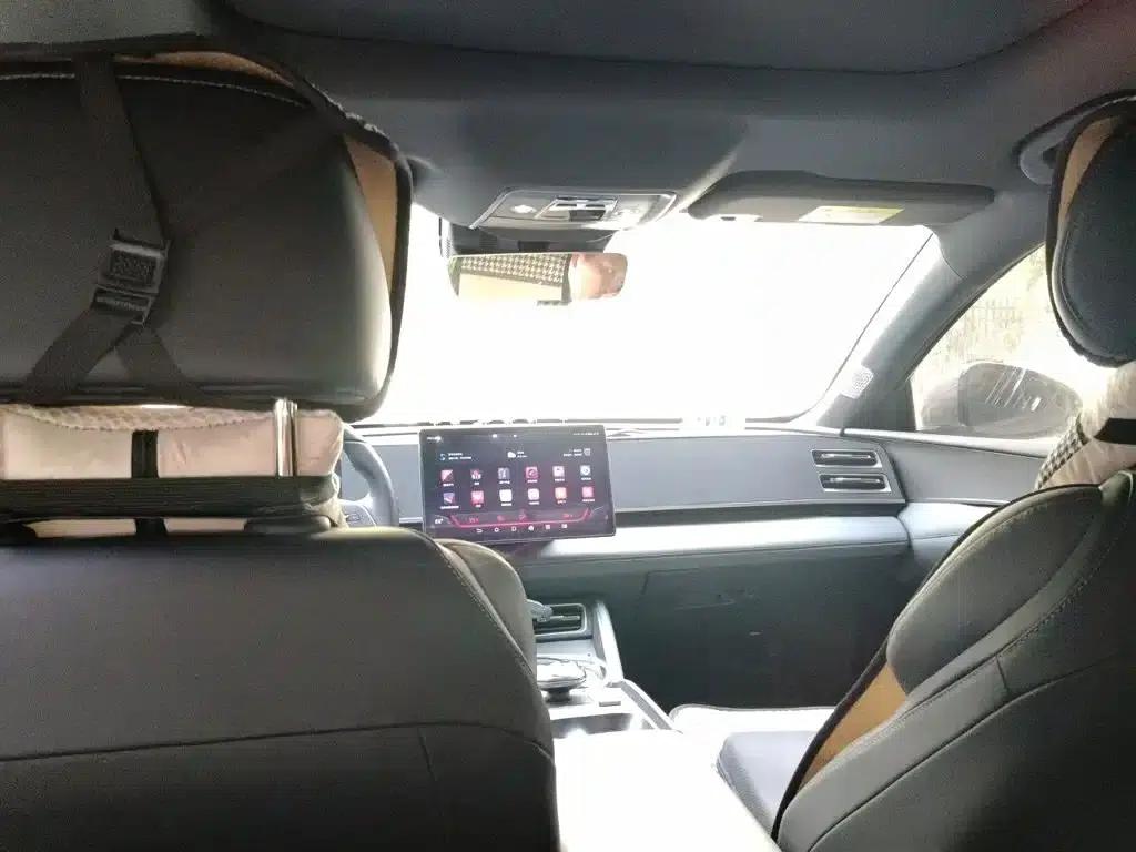Qin L 2024 DM-i 120KM Leading Edition — миниатюра 15