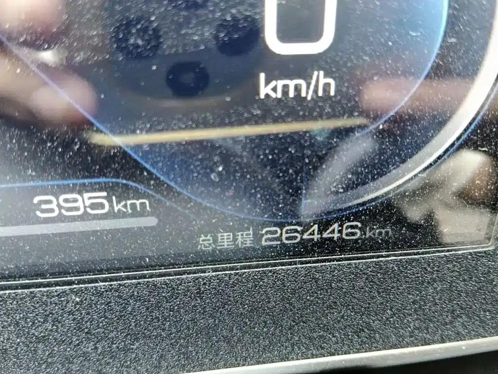 Qin L 2024 DM-i 120KM Leading Edition — миниатюра 9