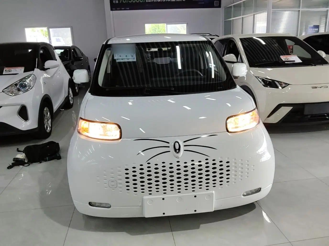 ORA White Cat 2022 Upgraded Model 305km Range Luxury Version Lithium-Ion Battery — миниатюра 2