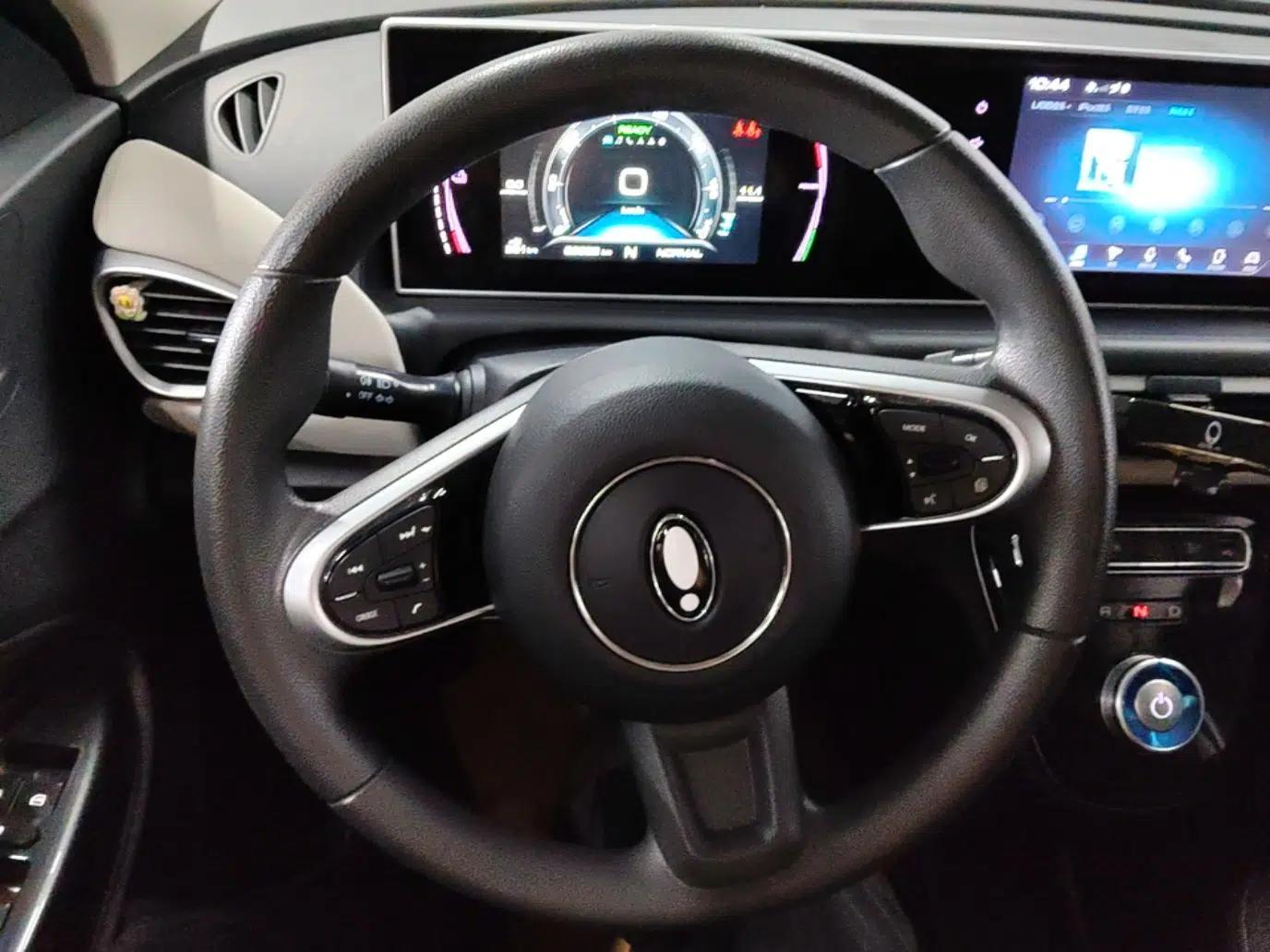 ORA White Cat 2022 Upgraded Model 305km Range Luxury Version Lithium-Ion Battery — миниатюра 13