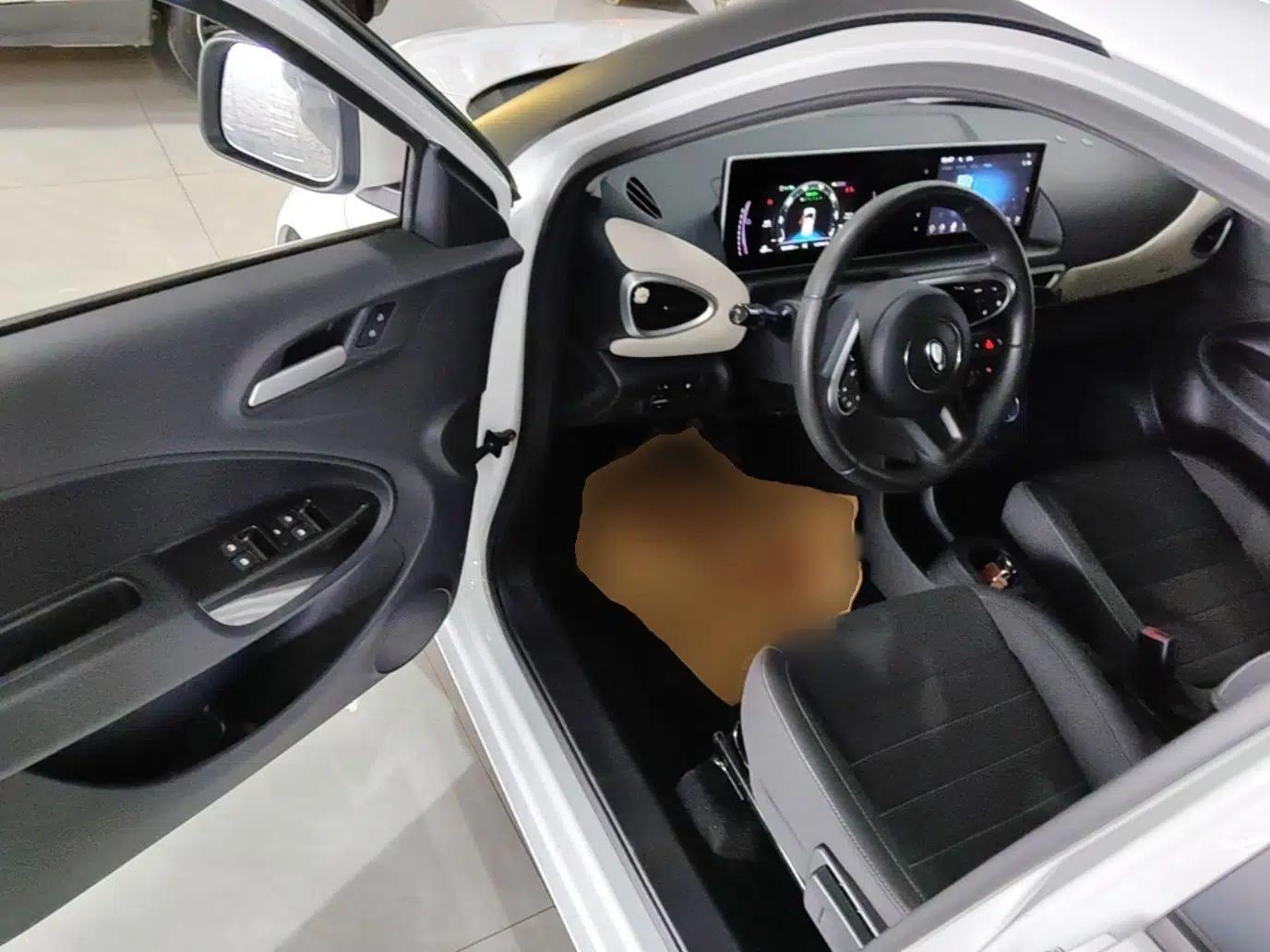 ORA White Cat 2022 Upgraded Model 305km Range Luxury Version Lithium-Ion Battery — миниатюра 18