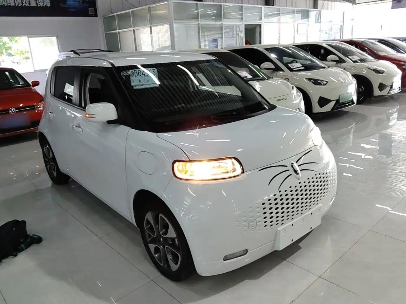 ORA White Cat 2022 Upgraded Model 305km Range Luxury Version Lithium-Ion Battery — миниатюра 3