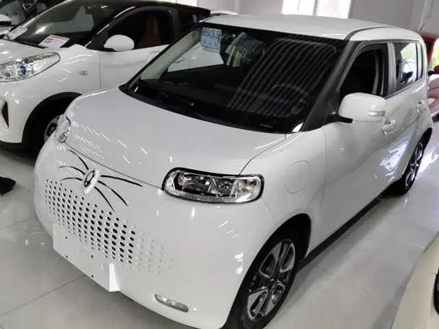 ORA White Cat 2022 Upgraded Model 305km Range Luxury Version Lithium-Ion Battery