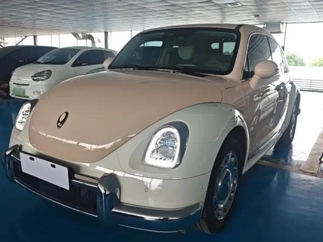 ORA Ballet Cat 2023 401 km Luxury Version