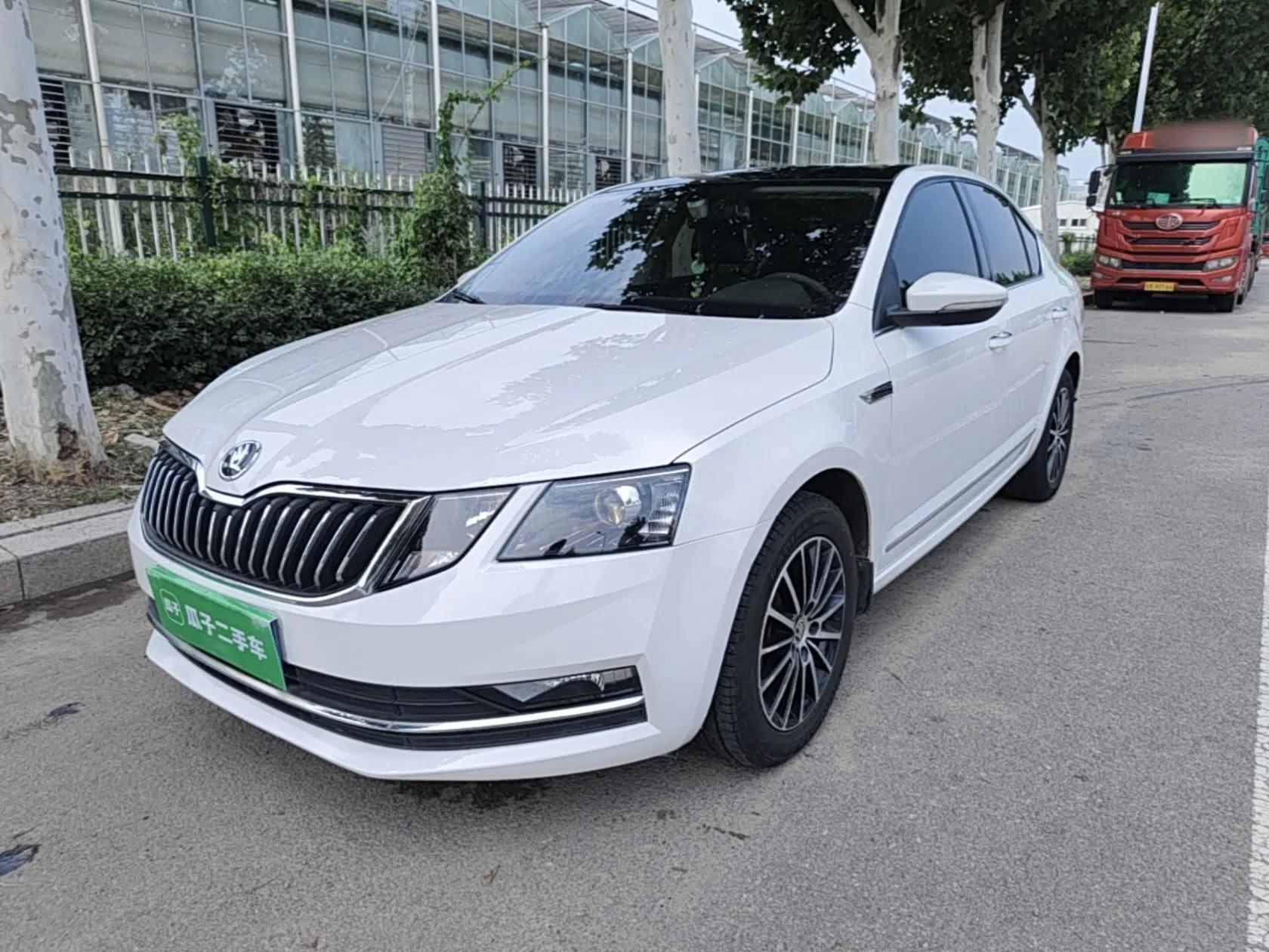 Skoda Octavia 2019 TSI230 DSG SmartDrive Luxury Edition China VI — миниатюра 1